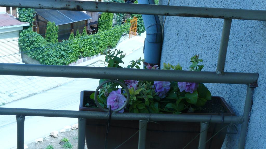 בלוגראדצ'יק Geto Apartment מראה חיצוני תמונה